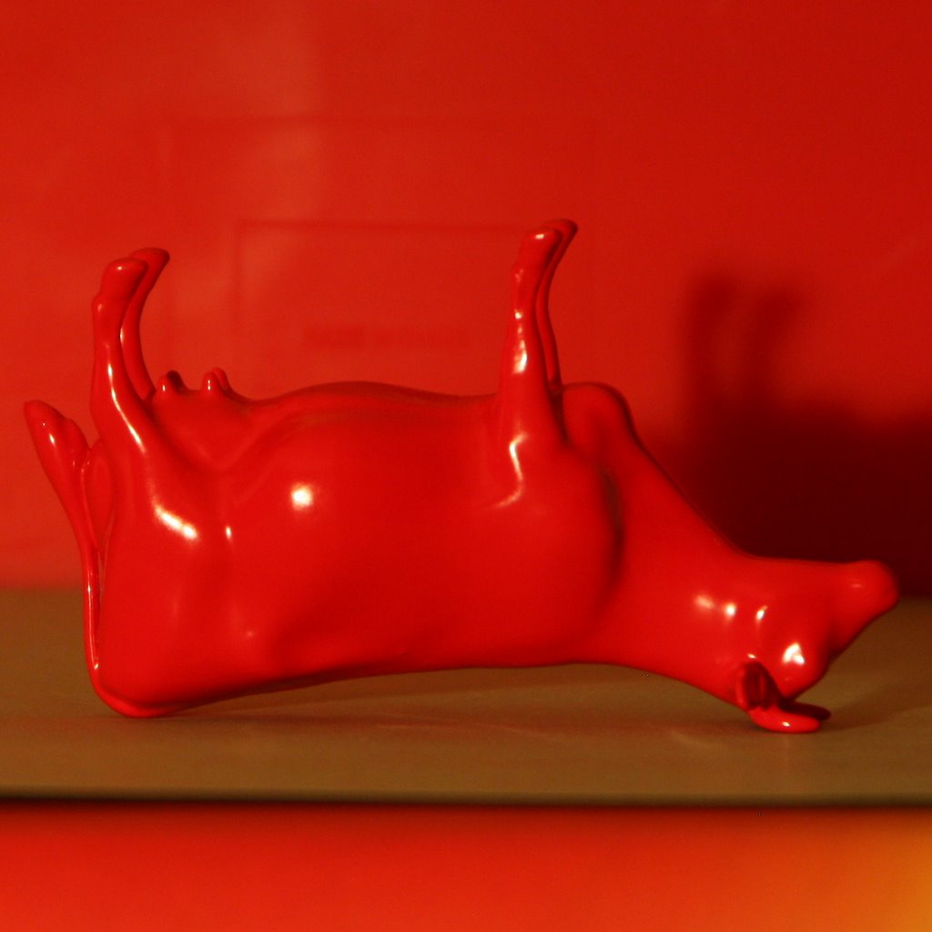cow-9