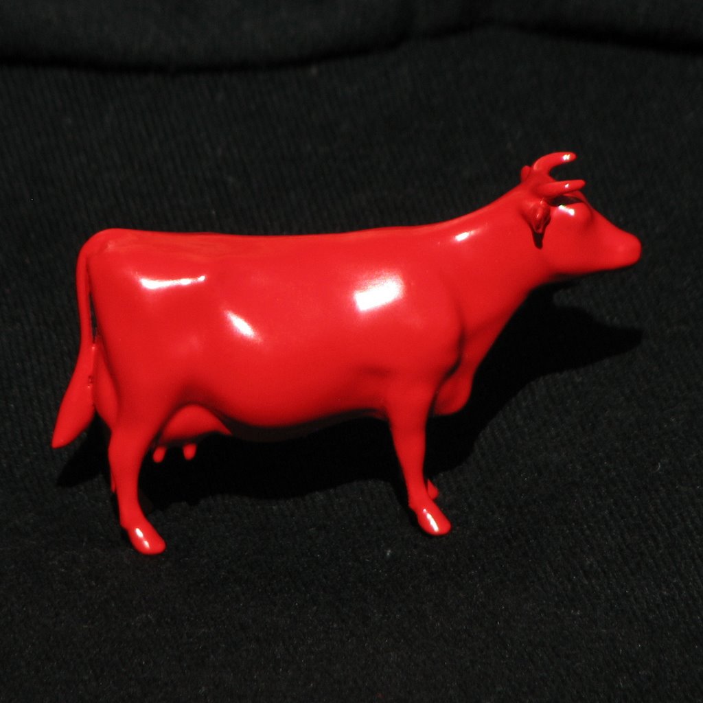 cow08