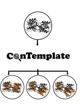 ConTemplate Suggests Possible Alternative Conformations for a Query Protein of Known Structure  Image