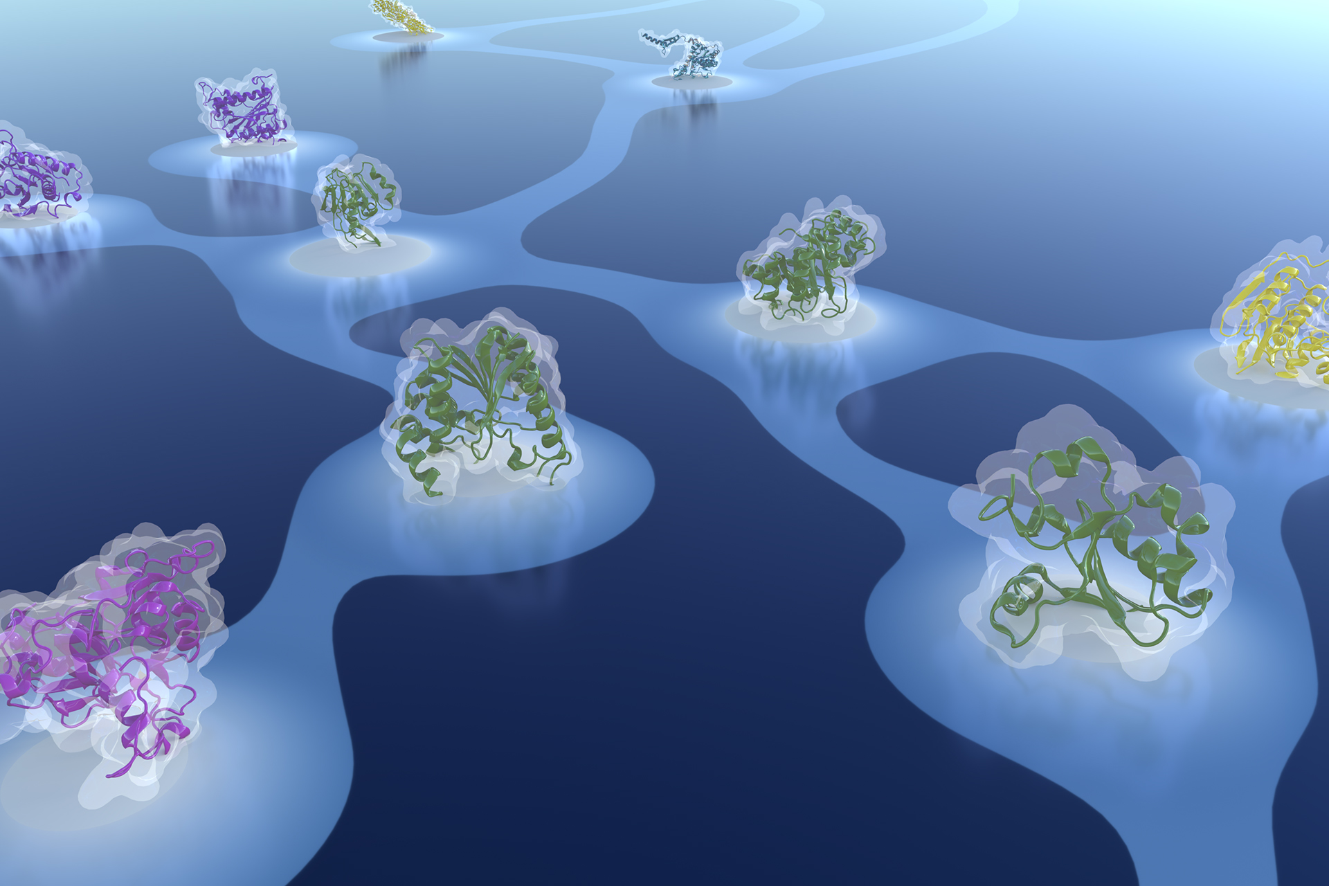 Bridging themes: short protein segments found in different architectures Image