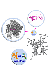 CyToStruct: Augmenting the Network Visualization of Cytoscape with the Power of Molecular Viewers Image