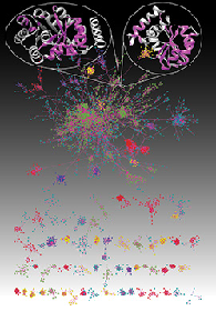 Global view of protein evolution Image