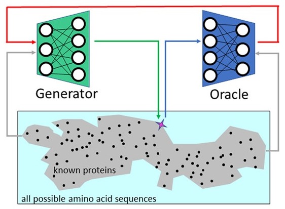 How deep learning tools can help protein engineers find good sequences Image