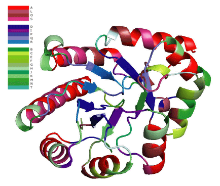 Using an Alignment of Fragment Strings for Comparing Protein Structures Image