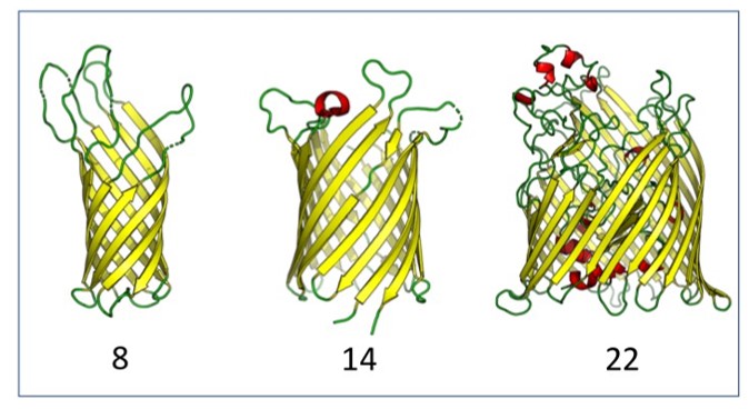 On the evolution of protein-adenine binding Image