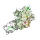 A novel geometry-based approach to infer protein interface similarity Image