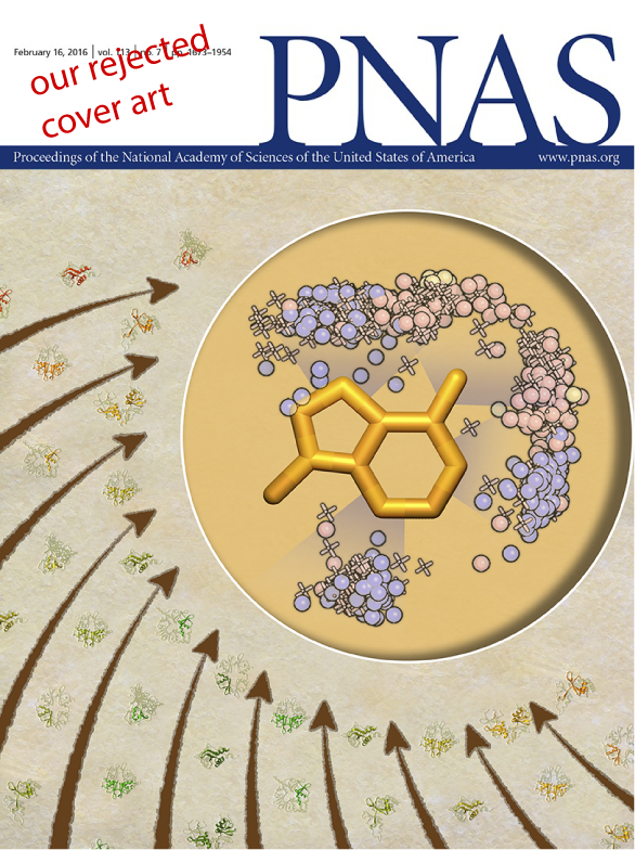Potential In Silico Structural and Biochemical Functional Analysis of a Novel CYP21A2 Pathogenic Variant Image