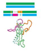Sequence-Similar, Structure-dissimilar protein pairs in the PDB Image