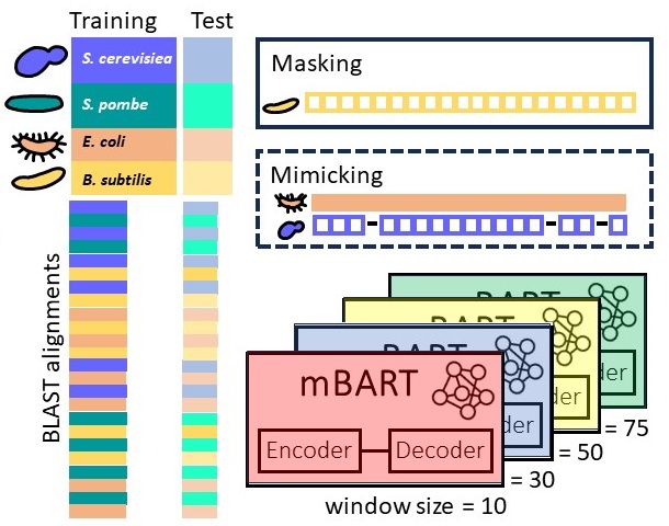 Predicting gene sequences with AI to study codon usage patterns Image