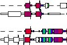 VISTAL - A two-dimensional visualization tool for structural alignments Image